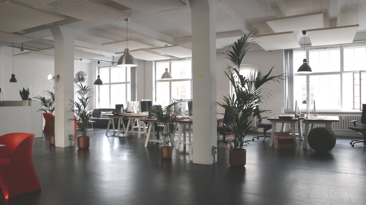 Planten op kantoor zorgen voor meer productiviteit?